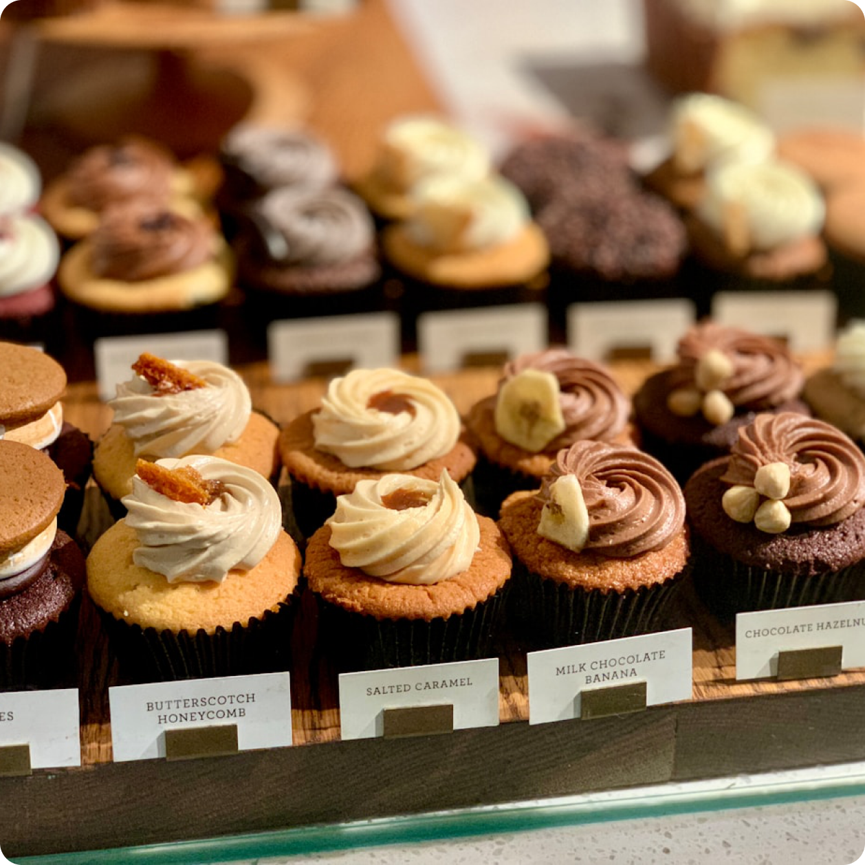 Assorted cupcakes in a bakery display case